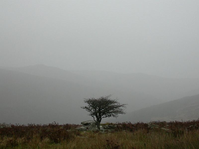 Dartmoor Mists 1.jpg